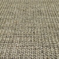 vidaXL Teppich Natur Sisal 66x350 cm Taupe