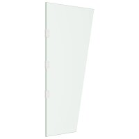 vidaXL Seitenwand f&uuml;r Vordach Transparent 50x100 cm Hartglas