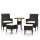 vidaXL 5-tlg. Garten-Lounge-Set Poly Rattan Schwarz