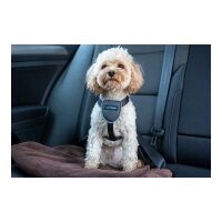 Hundegeschirr Company of Animals CarSafe Schwarz Gr&ouml;&szlig;e XS