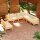 vidaXL 9-tlg. Garten-Lounge-Set mit Creme Kissen Massivholz Kiefer