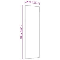 vidaXL T&uuml;rspiegel Schwarz 30x100 cm Glas und Aluminium