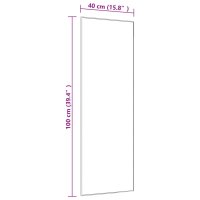 vidaXL T&uuml;rspiegel Schwarz 40x100 cm Glas und Aluminium