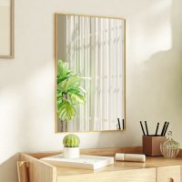 vidaXL Türspiegel Golden 40x60 cm Glas und Aluminium