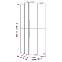 vidaXL Duschkabine mit Streifen ESG 70x70x180 cm Schwarz