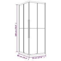 vidaXL Duschkabine Matt ESG 90x70x180 cm Schwarz