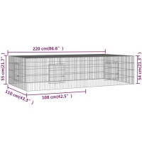 vidaXL Kaninchenk&auml;fig 2 Paneele 220x110x55 cm Verzinktes Eisen