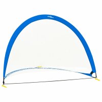 vidaXL Kinder Fu&szlig;balltore 2 Stk. Aufbewahrungstasche 183x117,5x120,5cm