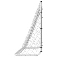 vidaXL Fu&szlig;balltor mit Torwand Stahl 184x61x122 cm