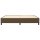 vidaXL Boxspringbett Dunkelbraun 200x200 cm Stoff