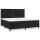 vidaXL Boxspringbett mit Matratze Schwarz 200x200 cm Samt