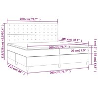 vidaXL Boxspringbett mit Matratze Dunkelgr&uuml;n 200x200 cm Samt