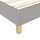 vidaXL Boxspringbett Hellgrau 200x200 cm Stoff