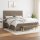 vidaXL Boxspringbett mit Matratze Taupe 160x200 cm Stoff