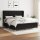 vidaXL Boxspringbett mit Matratze Schwarz 180x200 cm Stoff