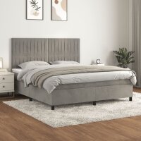 WOWONA Boxspringbett mit Matratze Hellgrau 160x200 cm Samt