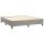 WOWONA Boxspringbett mit Matratze Hellgrau 160x200 cm Samt