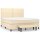 vidaXL Boxspringbett mit Matratze Creme 160x200 cm Stoff