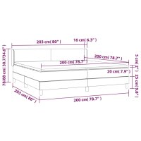 vidaXL Boxspringbett mit Matratze Schwarz 200x200 cm Samt