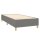 vidaXL Boxspringbett mit Matratze Dunkelgrau 80x200 cm Stoff