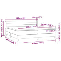 vidaXL Boxspringbett mit Matratze Dunkelgrau 200x200 cm Samt