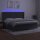 vidaXL Boxspringbett mit Matratze &amp; LED Dunkelgrau 200x200 cm Samt