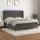 vidaXL Boxspringbett mit Matratze &amp; LED Dunkelgrau 160x200 cm Samt