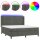 vidaXL Boxspringbett mit Matratze &amp; LED Dunkelgrau 160x200 cm Samt