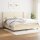 vidaXL Boxspringbett mit Matratze Creme 200x200 cm Stoff