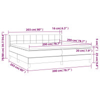 vidaXL Boxspringbett mit Matratze Hellgrau 200x200 cm Samt