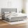 vidaXL Boxspringbett mit Matratze Hellgrau 200x200 cm Stoff