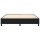 vidaXL Boxspringbett Schwarz 180x200 cm Stoff