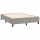 WOWONA Boxspringbett mit Matratze Hellgrau 140x200 cm Samt