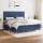 vidaXL Boxspringbett mit Matratze Blau 160x200 cm Stoff