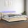 WOWONA Boxspringbett mit Matratze &amp; LED Creme 200x200 cm Stoff