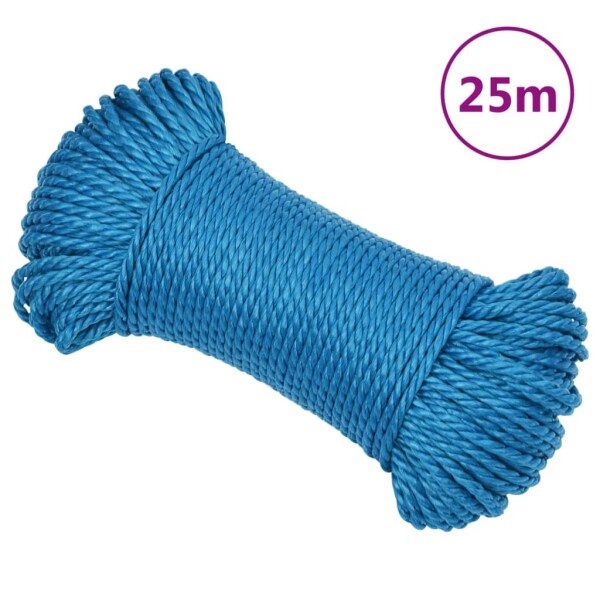 vidaXL Arbeitsseil Blau 3 mm 25 m Polypropylen