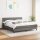 WOWONA Boxspringbett mit Matratze Dunkelgrau 180x200 cm Stoff