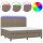 vidaXL Boxspringbett mit Matratze &amp; LED Taupe 200x200 cm Stoff