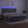 vidaXL Boxspringbett mit Matratze &amp; LED Hellgrau 200x200 cm Samt