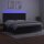 vidaXL Boxspringbett mit Matratze &amp; LED Schwarz 200x200 cm Samt