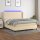 vidaXL Boxspringbett mit Matratze &amp; LED Creme 160x200 cm Stoff