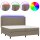 vidaXL Boxspringbett mit Matratze &amp; LED Taupe 200x200 cm Stoff