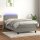 vidaXL Boxspringbett mit Matratze &amp; LED Hellgrau 100x200 cm Samt