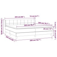 vidaXL Boxspringbett mit Matratze Schwarz 200x200 cm Samt