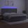 vidaXL Boxspringbett mit Matratze &amp; LED Hellgrau 200x200 cm Samt