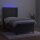 vidaXL Boxspringbett mit Matratze &amp; LED Dunkelgrau 80x200 cm Samt