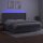 vidaXL Boxspringbett mit Matratze &amp; LED Hellgrau 200x200 cm Samt