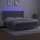 vidaXL Boxspringbett mit Matratze &amp; LED Hellgrau 160x200 cm Samt