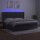 vidaXL Boxspringbett mit Matratze &amp; LED Dunkelgrau 200x200 cm Samt