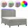 WOWONA Boxspringbett mit Matratze &amp; LED Hellgrau 140x190 cm Samt